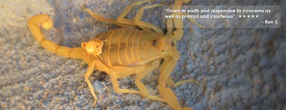 mother and baby scorpion with testimonial text
