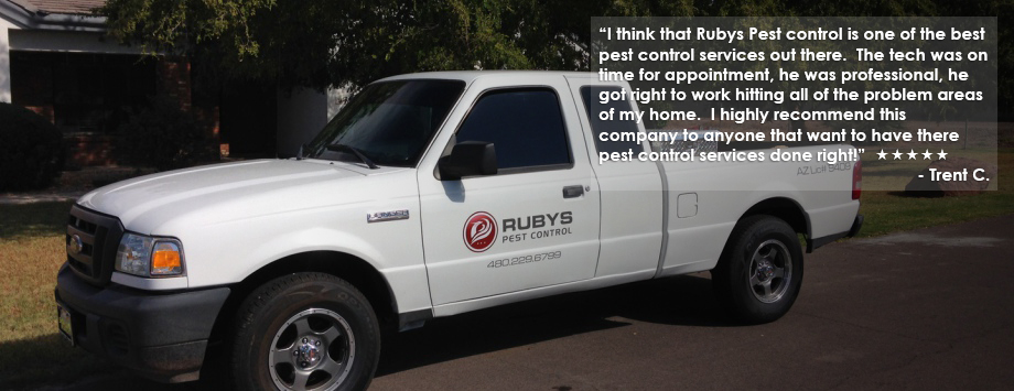 rubys truck with testimonial text